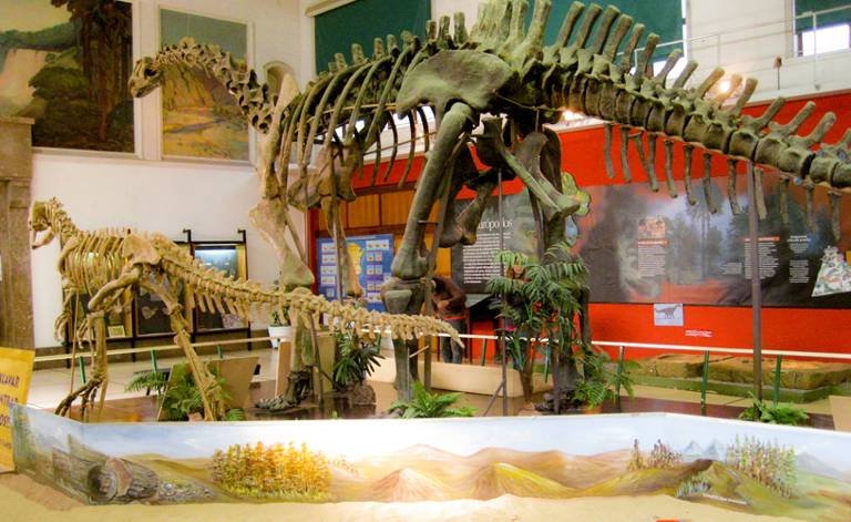 museo ciencias naturales